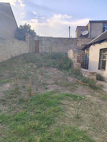 14 sot, Tikinti, Maklerlər narahat etməsin, Kupça (Çıxarış)