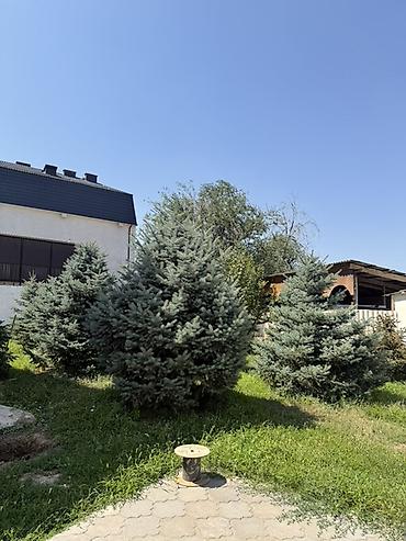 репина: 300 м², 6 комнат — 2