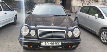 mersedes benz: Mercedes-Benz 230: | 1995 il Sedan
