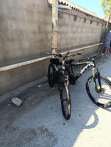 velosiped barter: Dağ velosipedi – 26 düym, ön amortizatorlu, arxa yaylı — 1