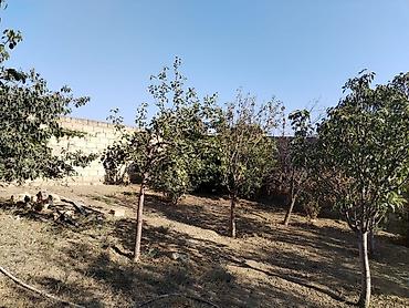 Həyət evləri və villaların satışı: 7 otaqlı, 156 kv. m, Təmirsiz — 19