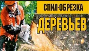 дрова рубка: Спил деревьев быстро и качественно — 1