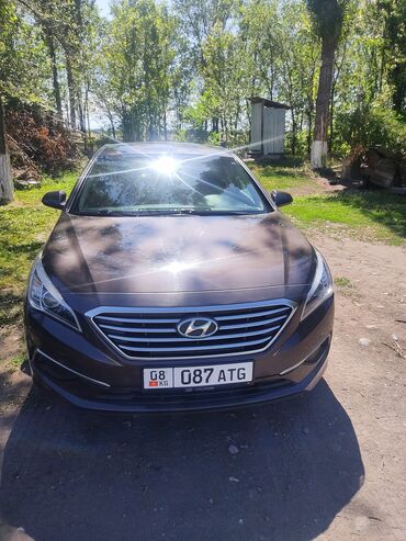 малибу авто: Hyundai Sonata: 2016 г., 2.4 л, Автомат, Бензин, Седан