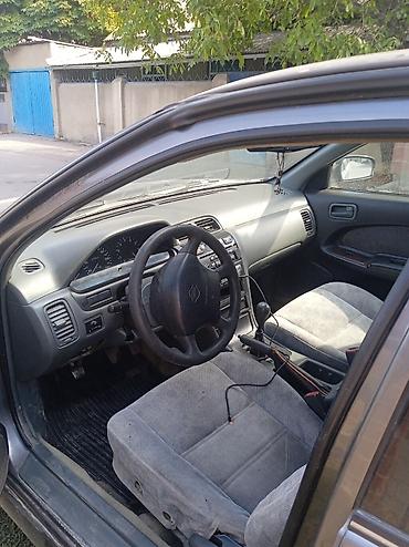 моя вина: Nissan Maxima: 1997 г., 3 л, Механика, Газ, Седан — 1