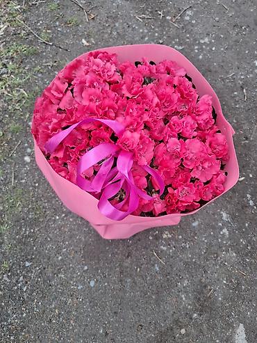 Женское счастье (Спатифиллюм): Спатифиллум (Spathiphyllum), крупное комнатное растение - Эффектный — 11