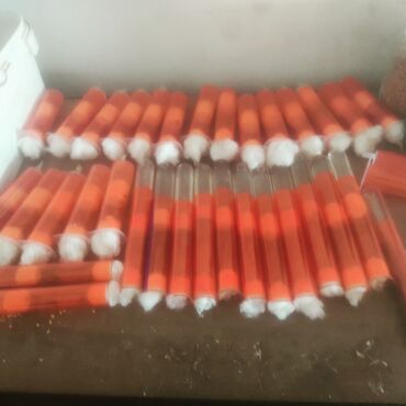 Digər heyvanlar: Maraqli heyvan saxlamaq isdiyenler size qarisqa tovsiye edirik maraqli — 12