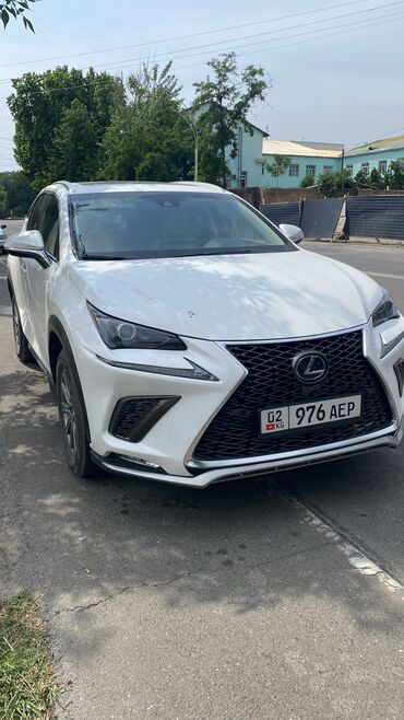 семёрка ош: Lexus NX: 2019 г., 2 л, Автомат, Бензин, Кроссовер