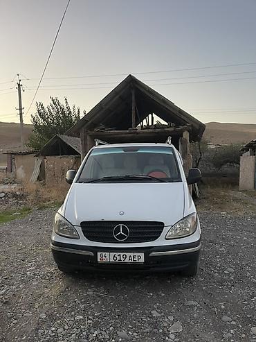 Mercedes-Benz Vito: 2009 г., Минивэн