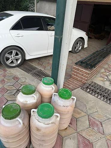 ячмень мука: Срочно продаю горный чистый мёд! 🍯 — 2