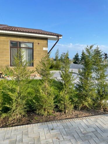 продажа домов в бишкеке дизель: Коттедж, 63 м², 3 комнаты, Агентство недвижимости, Дизайнерский ремонт