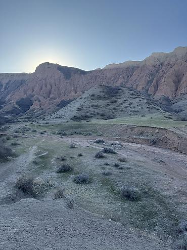 Продажа участков: 3 соток, Для строительства, Красная книга — 6