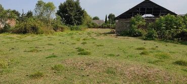 Kirayə torpaq sahələri: 20 sot, Tikinti, Mülkiyyətçi, Kupça (Çıxarış)