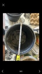 Bitkilər üçün dibçəklər: Gül və dibçək qabları satılır.Plastik,kauçuk materyaldır.Sayı 50 — 10