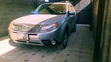 субаро: Subaru Forester: 2009 г., 2.5 л, Автомат, Бензин, Кроссовер — 1