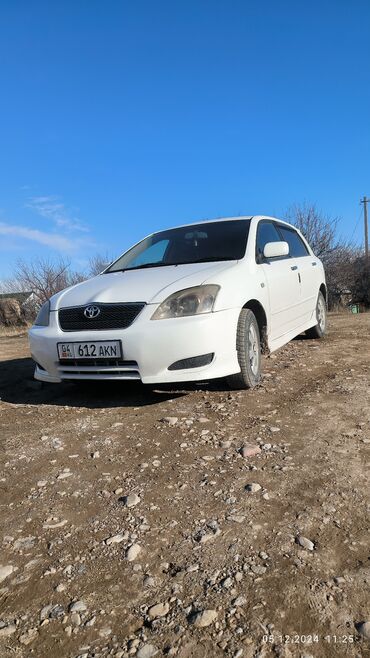 Toyota: Toyota Allex: 2003 г., 1.5 л, Автомат, Бензин, Хэтчбэк — 5