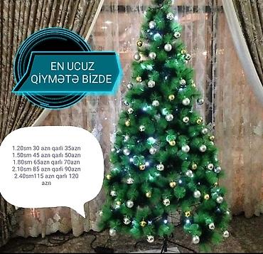 ev agaclari: Sifarisle eve getiririk Catirilma pulsuz whatsapp aktivdir 1.20-30 — 2