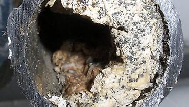 Канализационные работы: Канализационные работы | Чистка канализации, Чистка водопровода, Чистка стояков Больше 6 лет опыта — 3