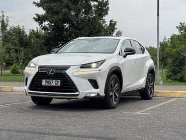 Lexus: Lexus NX: 2018 г., 2 л, Автомат, Бензин, Кроссовер — 3