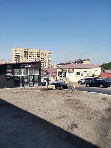 ремонт авто с выездом: Avtomobil servisi bir boks icarəyə verilir üsdünlük mühərrik ustası — 4
