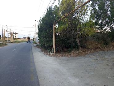 mərdəkan: 5 sot, Tikinti, Kupça (Çıxarış) — 2