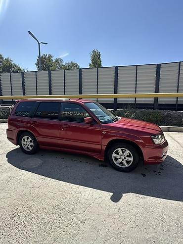 значок форестер: Subaru Forester: 2003 г., 2 л, Бензин, Универсал — 2