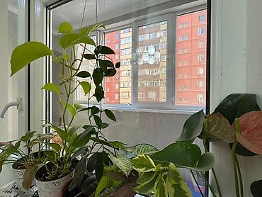 Продажа квартир: 3 комнаты, 100 м², Элитка, 2 этаж, Дизайнерский ремонт — 16