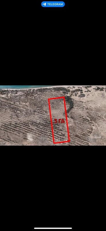 продажа домов на иссык куле: 100 соток, Для сельского хозяйства, Красная книга