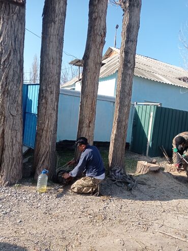 Спил деревьев, заготовка дров: Тынар гарантия 100%., спилю деревья,, любой сложности#1 _тынар супер — 6