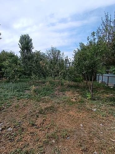 4: В селе Беловодское продается дом из 4-х комнат на участке 18 соток — 9