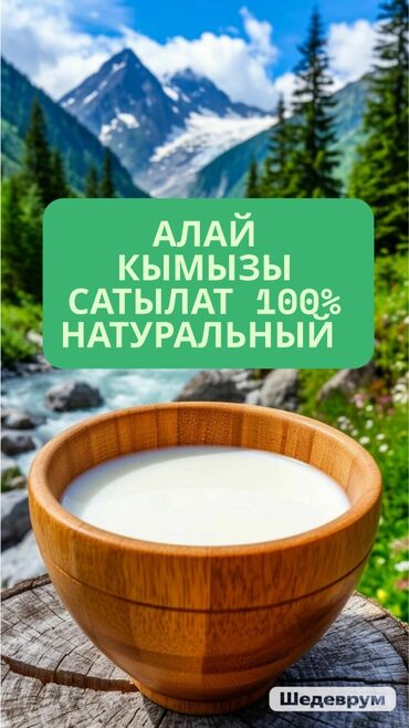 Другие продукты питания: Алай кымызы сатылат натуральный 100%