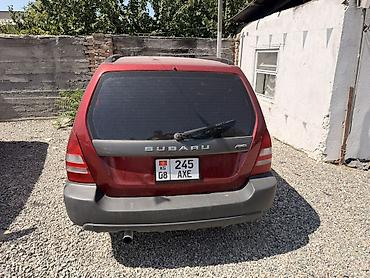 forest: Subaru Forester: 2003 г., 2.5 л, Механика, Бензин, Универсал — 3