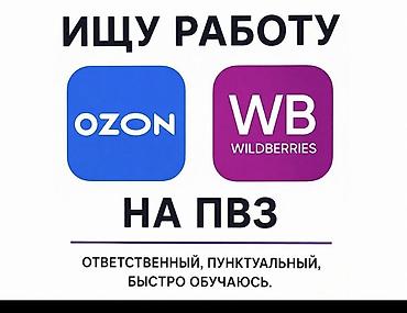 Услуга: соискатель работы на ПВЗ Ozon/Wildberries Описание: - Ищу