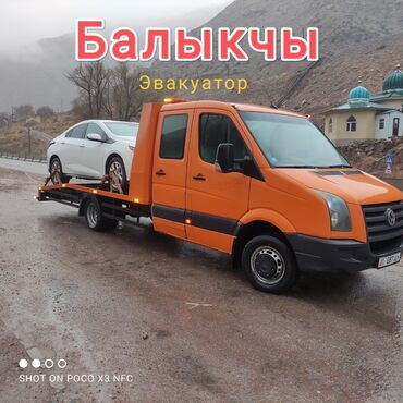 спринтер дверь: С лебедкой