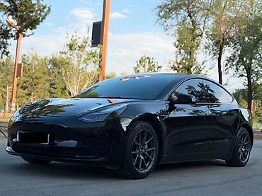 tesla p40: Tesla Model 3: 2023 г., Электромобиль, Седан — 3
