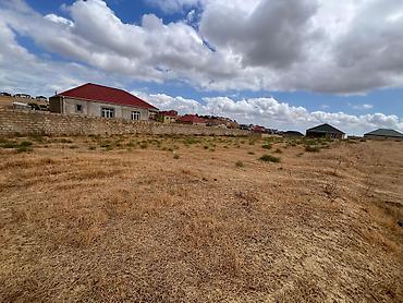 Torpaq: 4 sot, Tikinti, Mülkiyyətçi, Kupça (Çıxarış) — 1