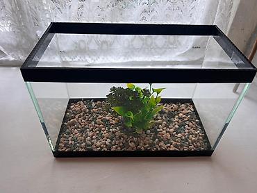 100 l akvarium: Dördbucaq akvarium, Boş, 9 l, Ünvandan götürmə — 3