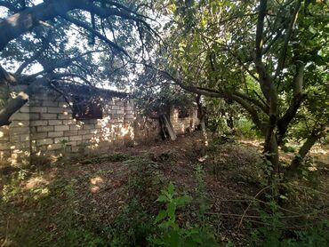 Həyət evləri və villaların satışı: 6 otaqlı, 200 kv. m, Kredit yoxdur, Orta təmir -da lalafo.az — 14 Həyət evləri və villaların satışı: 6 otaqlı, 200 kv. m, Kredit yoxdur, Orta təmir — 14