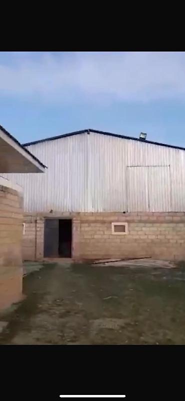 аренда квартира: Sabirabad rayonu, Bakl Sabirabad maqistral yolun üstündə, bir hektar — 7