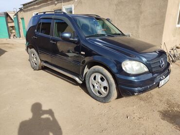 пружины на авто: Mercedes-Benz M-Class: 1999 г., 4.3 л, Автомат, Бензин, Внедорожник