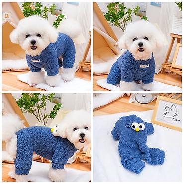 Зоотовары: ПРОДАЮ НОВЫЕ ИНТЕРАКТИВНЫЕ ИГРУШКИ ДЛЯ КОШЕК,А ТАК ЖЕ — 27