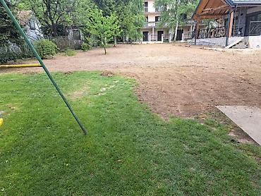 mini selidbe beograd: Pretvorite zaraslo dvorište ili njivu u uređen i obradiv prostor! — 5