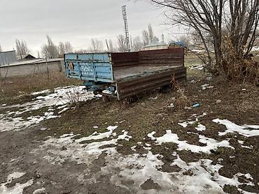 Тракторы МТЗ (Беларус): Трактор колесный МТЗ (синяя кабина), дизель. МТЗ-80 1991г. Прицеп — 8