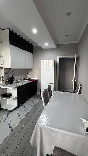 nova grant: 2 комнаты, 59 м², Филармония Элитка, 4 этаж, Евроремонт — 3