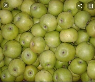 сушёные яблоки in Кыргызстан | СУХОФРУКТЫ, ОРЕХИ, СНЕКИ: Продаю яблоки Семеренко, Превосходный и сушёные, а также груши