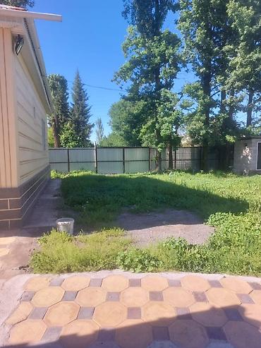 Продажа коттеджей и домов: Продается дом село Полтавка 38сотых угловой баня сарай гараж баары — 2