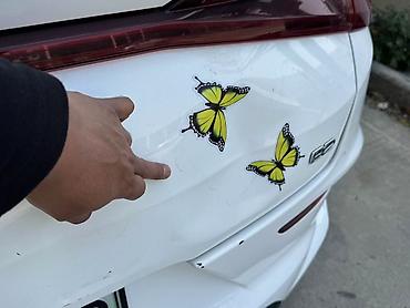 BYD: BYD E2: 2022 г., Робот, Хэтчбэк — 12