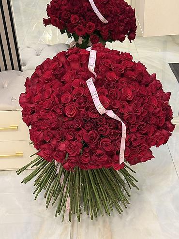 mürəbbə gülü: Məhsul: Qırmızı qızılgüllərdən ultra iri buket Yarim saat evvel — 4