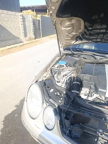 Mercedes-Benz: Mercedes-Benz E-Class: 2004 г., 2.4 л, Автомат, Бензин, Седан — 3