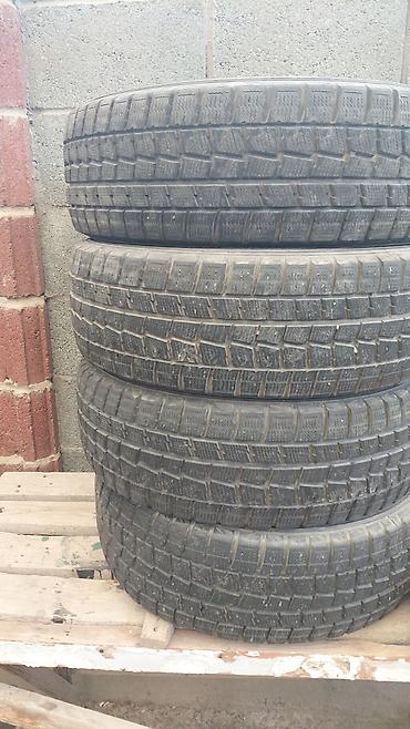 зимние поладки: Шины 195 / 65 / R 15, Зима, Б/у, Комплект, Легковые, Dunlop — 4