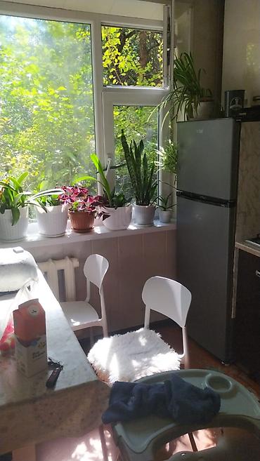 red centr: 2 комнаты, 44 м², Боконбаева/Уметалиева 104 серия, 2 этаж, Косметический ремонт — 3
